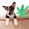 My Name is MJ, Cute Stuffed Parody Marijuana Leaf Dog Toy, Funny Squeaky Weed Toy, Cool Plush Novelty 420 Gift for Puppies & Small
