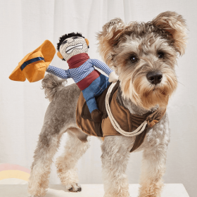 Cowboy Rider Pet Costume, Funny Dog Costume For Small Medium Dogs & Cats, Pet Clothes (Color: Mixed Color, size: l)