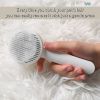 Cat Grooming Brush, Self Cleaning Slicker Brushes For Dogs Cats Pet Grooming Brush Tool Gently Removes Loose Undercoat
